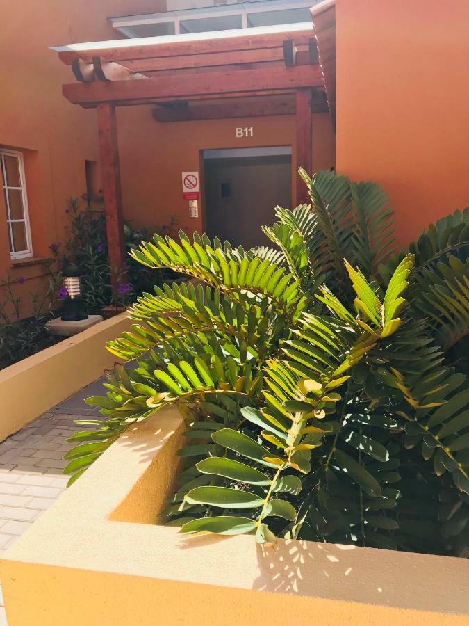 La Casa Canaria 라프라야데알게네구인 외부 사진
